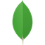 MongoDB Inc. logo