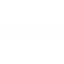 Sellas Life Sciences Group Inc. logo